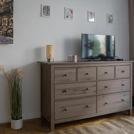 Apartment Stara Praga *